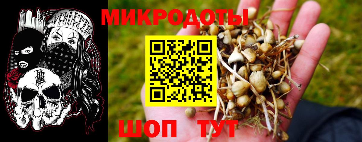 Псилоцибиновые грибы ЛСД Биробиджан